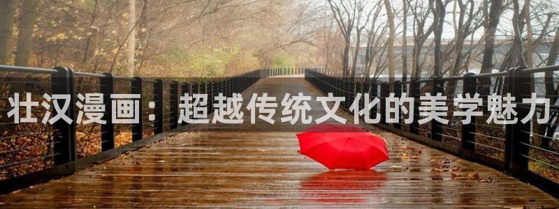 歪歪污韩漫：壮汉漫画：超越传统文化的美学魅力