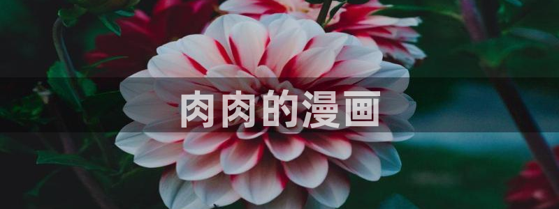 免费看韩漫在线观看：肉肉的漫画