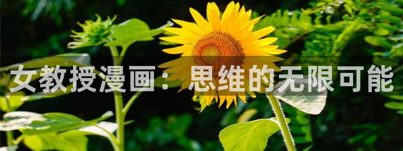 韩漫短漫推荐：女教授漫画：思维的无限可能