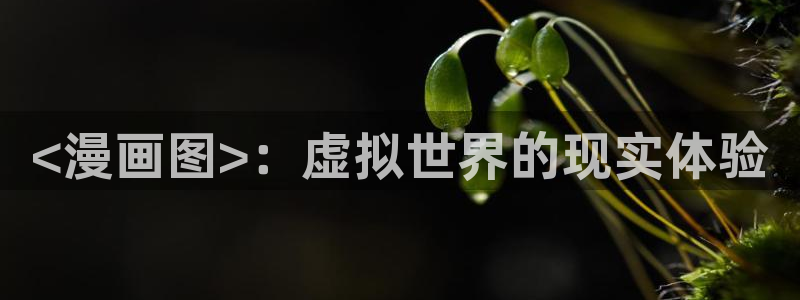 韩漫网站未删减：<漫画图>：虚拟世界的现实体验