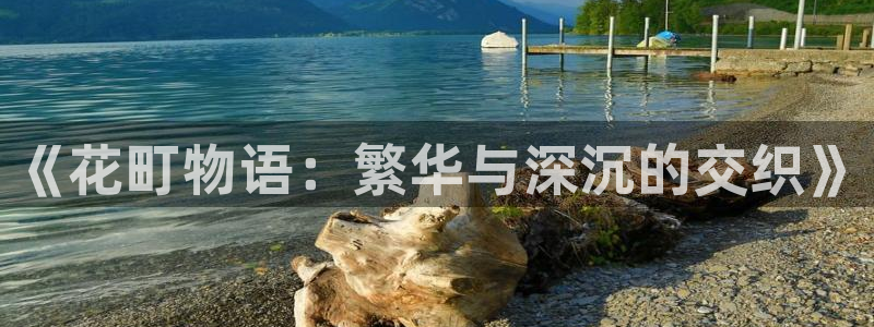 韩漫龙堡秘爱漫画全集：《花町物语：繁华与深沉的交织》