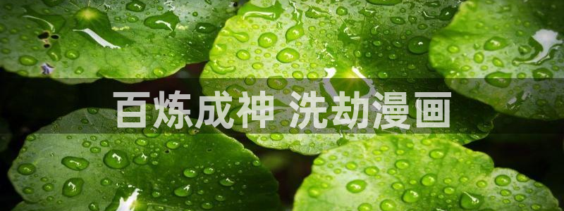 免费韩漫www：百炼成神 洗劫漫画