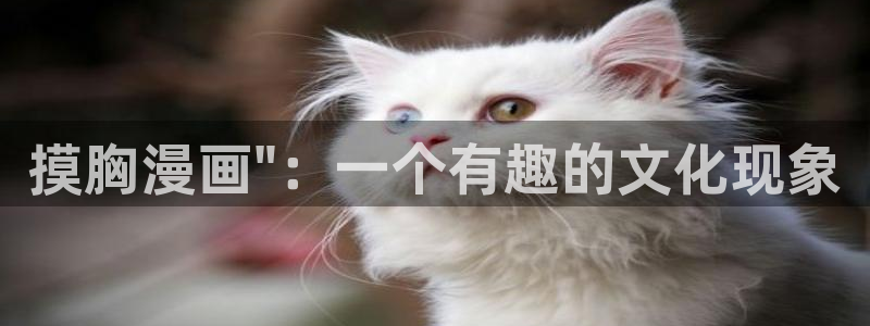 韩漫 好看漫画：摸胸漫画\