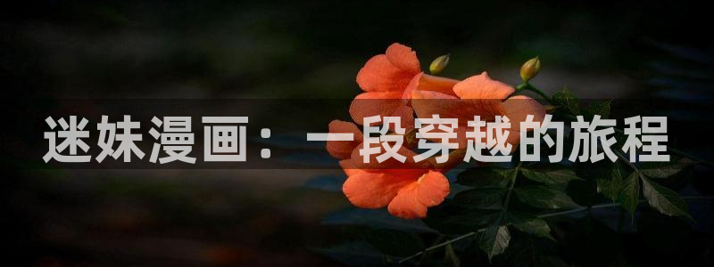 韩漫在线看无删减：迷妹漫画：一段穿越的旅程