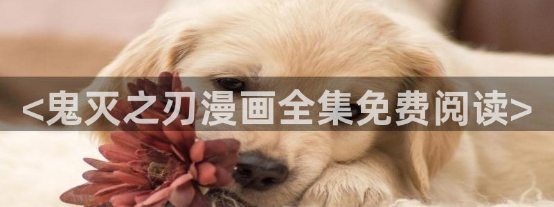 韩漫漫画免费下拉：<鬼灭之刃漫画全集免费阅读>