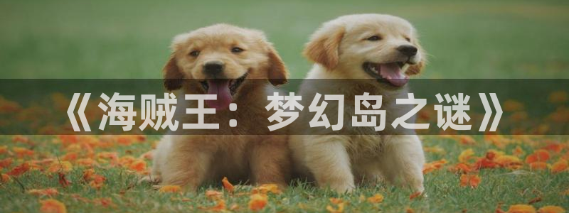哪个漫画app可以看韩漫：《海贼王：梦幻岛之谜》