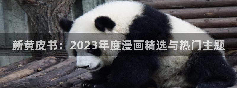 韩漫漫画登录页面免费漫画入口版：新黄皮书：2023年度漫画精选与热门主题