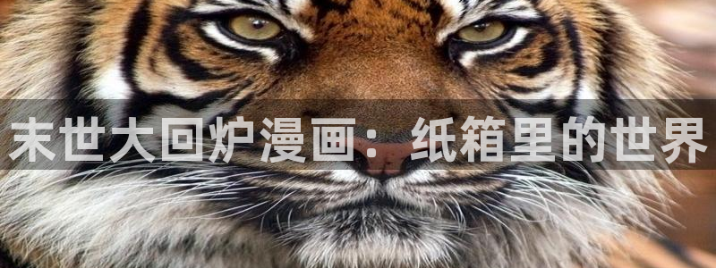 韩漫无遮拦在线观看：末世大回炉漫画：纸箱里的世界