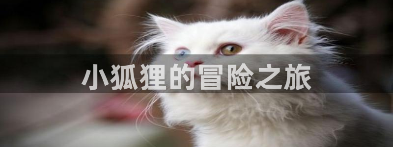 韩漫在线阅读漫画画免费：小狐狸的冒险之旅